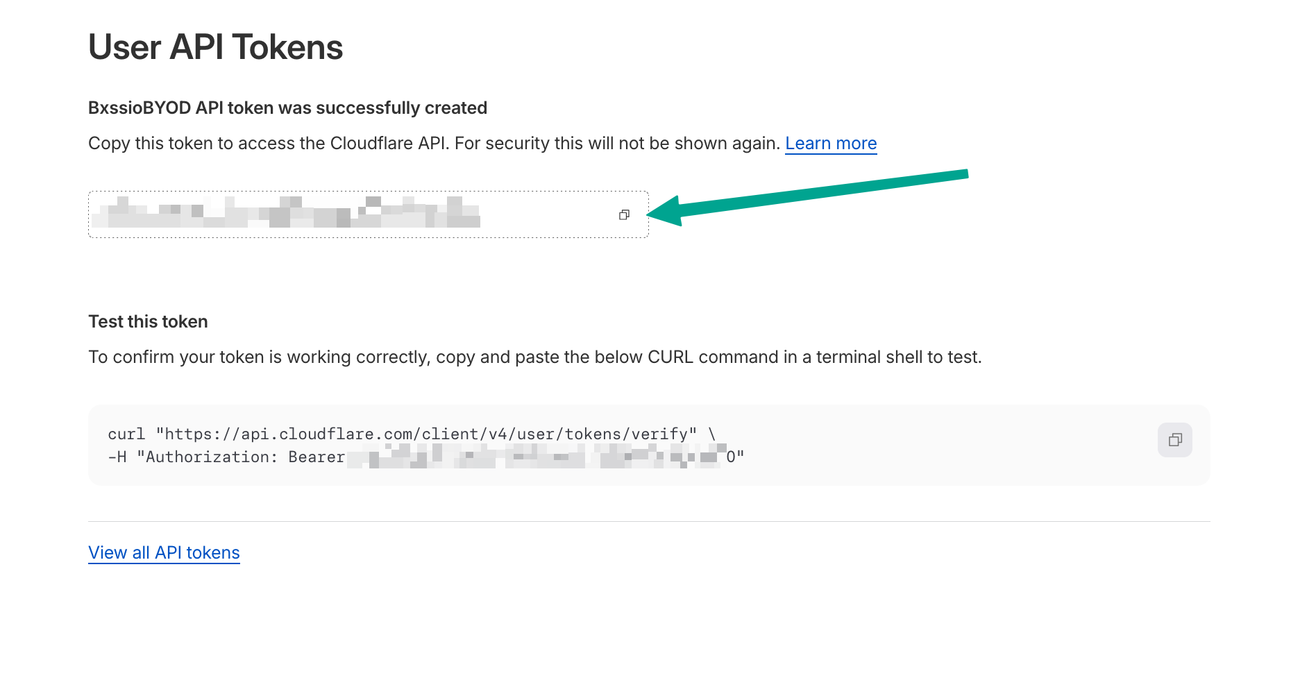 API Token Copy Process